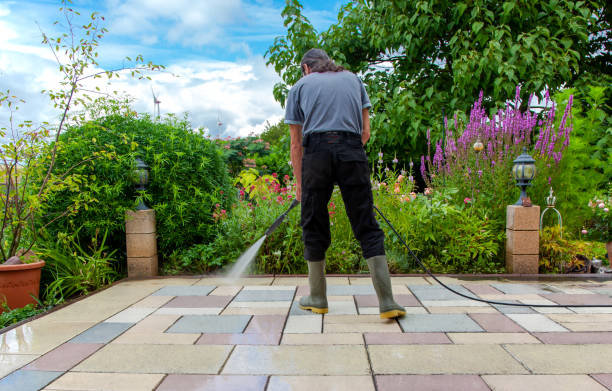 Best Pre-Holiday Cleaning  in Blowing Rock, NC